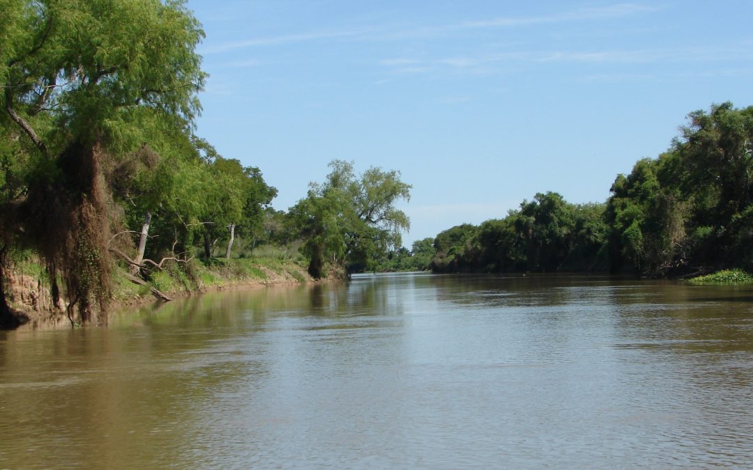 Protección de humedales