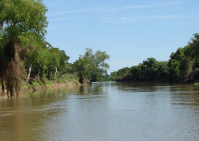 Protección de humedales