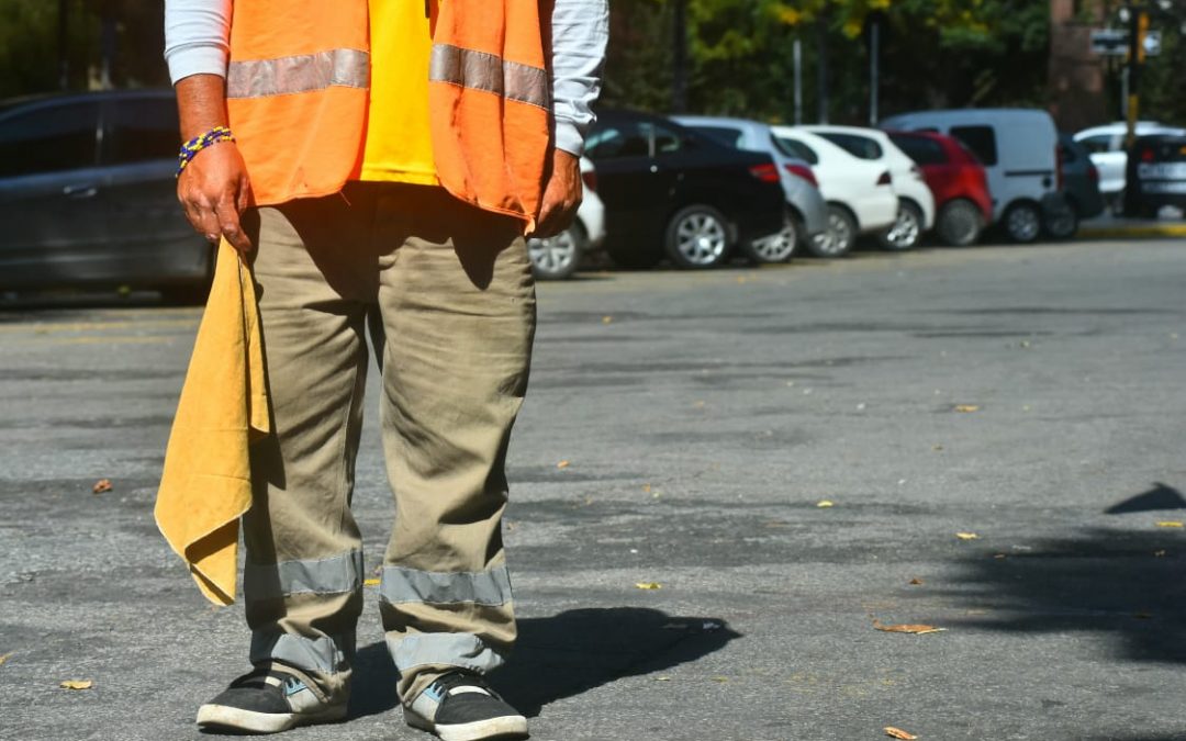 Audiencia por «cuida coches»