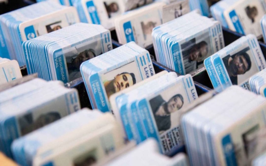 Audiencia Licencias de Conducir
