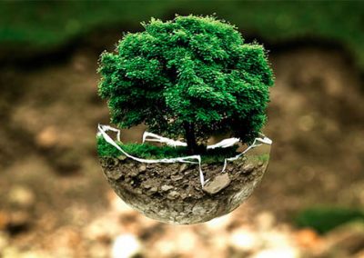 Consejo de Seguridad Ambiental