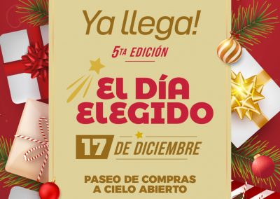 Declaración de Interés «El Día Elegido»