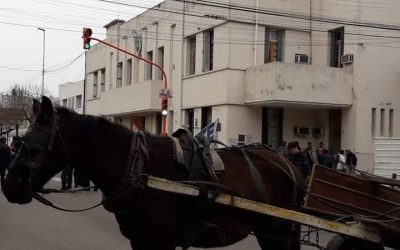 Votaron en contra de la eliminación de la tracción a sangre