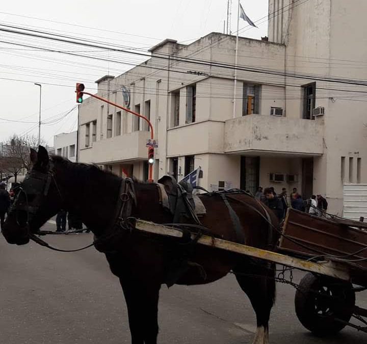 Votaron en contra de la eliminación de la tracción a sangre